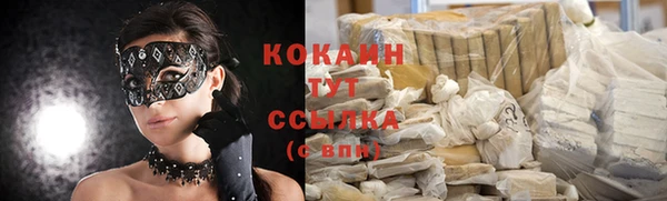 сатива Аркадак