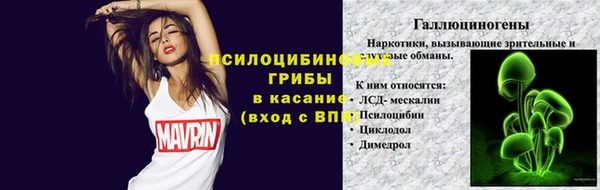 сатива Аркадак
