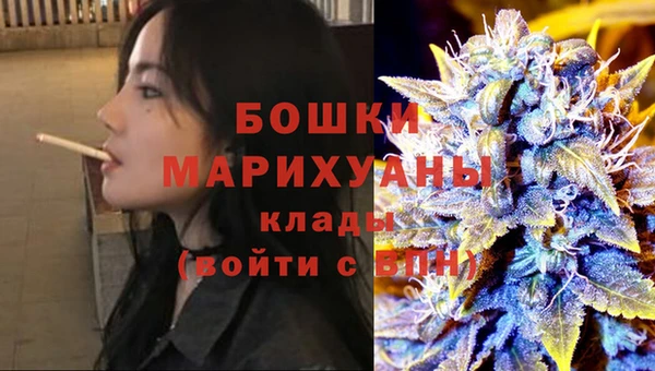 сатива Аркадак