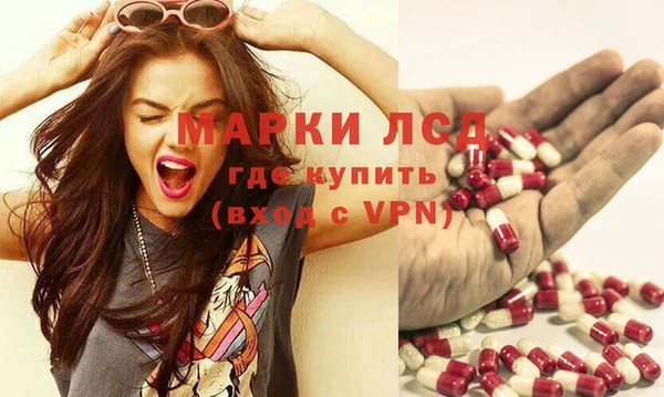стафф Арсеньев