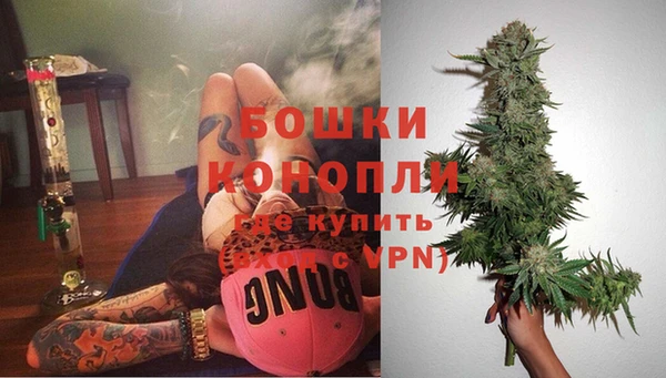 сатива Аркадак