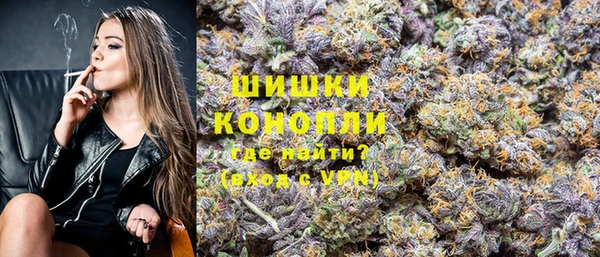 сатива Аркадак