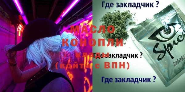 сатива Аркадак