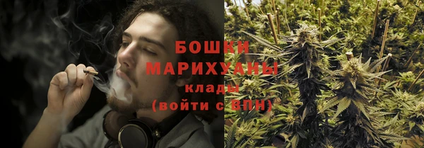 сатива Аркадак
